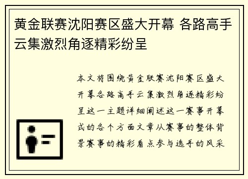 黄金联赛沈阳赛区盛大开幕 各路高手云集激烈角逐精彩纷呈